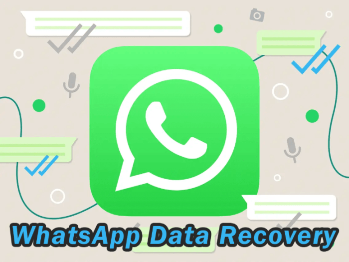 WhatsApp Data Recovery: Retrieve Chat History